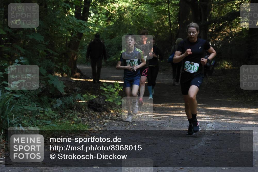 28.09.2025 - 33. Volkslauf durch das schöne Alstertal Strokosch-Dieckow http://msf.ph/oto/8968015 28.09.2025 10:51:07 Laufen 4118, 4918 meine-sportfotos.de