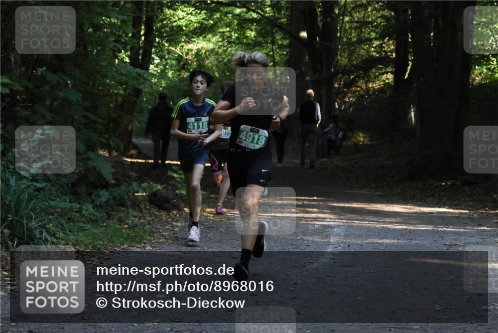 28.09.2025 - 33. Volkslauf durch das schöne Alstertal Strokosch-Dieckow http://msf.ph/oto/8968016 28.09.2025 10:51:07 Laufen 4118, 075, 4918 meine-sportfotos.de