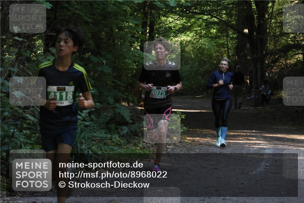 28.09.2025 - 33. Volkslauf durch das schöne Alstertal Strokosch-Dieckow http://msf.ph/oto/8968022 28.09.2025 10:51:10 Laufen 4118, 4075 meine-sportfotos.de