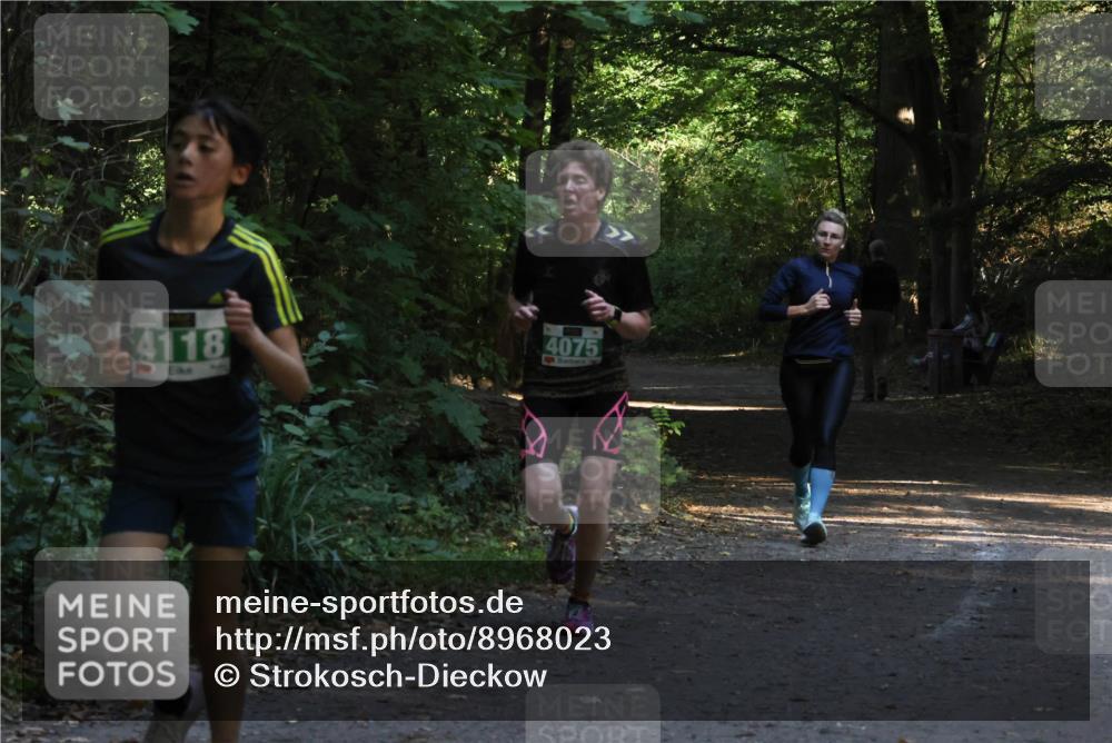 28.09.2025 - 33. Volkslauf durch das schöne Alstertal Strokosch-Dieckow http://msf.ph/oto/8968023 28.09.2025 10:51:10 Laufen 4118, 4075 meine-sportfotos.de