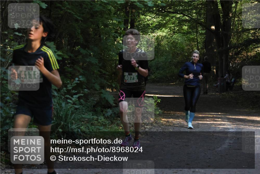 28.09.2025 - 33. Volkslauf durch das schöne Alstertal Strokosch-Dieckow http://msf.ph/oto/8968024 28.09.2025 10:51:10 Laufen 4118, 4075 meine-sportfotos.de