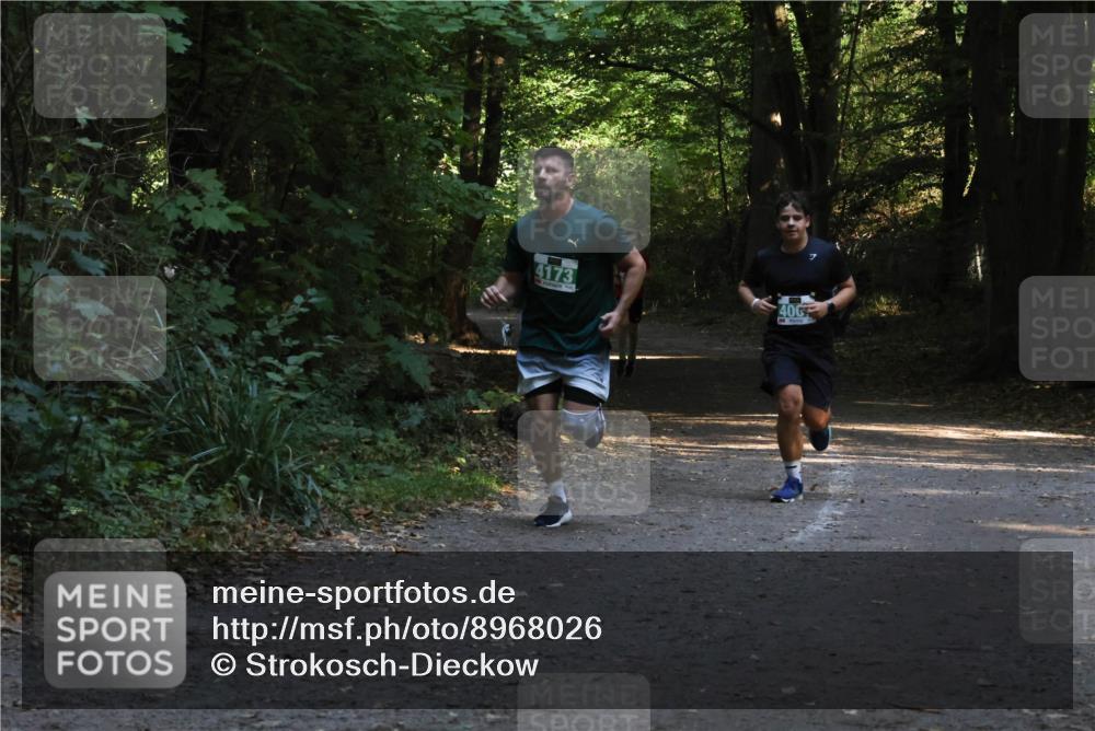 28.09.2025 - 33. Volkslauf durch das schöne Alstertal Strokosch-Dieckow http://msf.ph/oto/8968026 28.09.2025 10:51:34 Laufen 4173, 40 meine-sportfotos.de