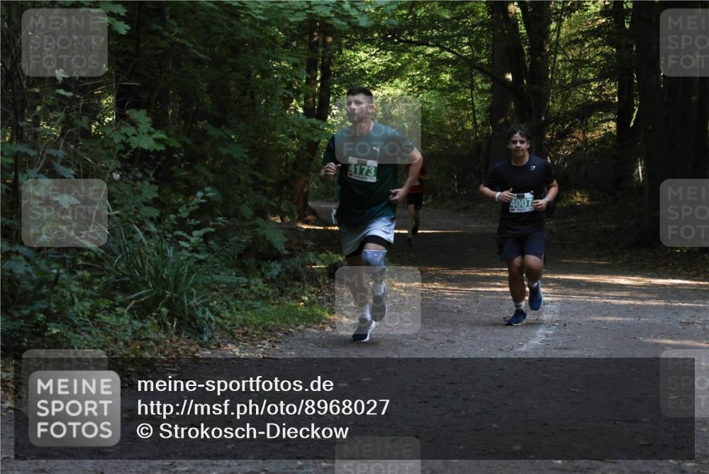 28.09.2025 - 33. Volkslauf durch das schöne Alstertal Strokosch-Dieckow http://msf.ph/oto/8968027 28.09.2025 10:51:35 Laufen 4173, 4007 meine-sportfotos.de