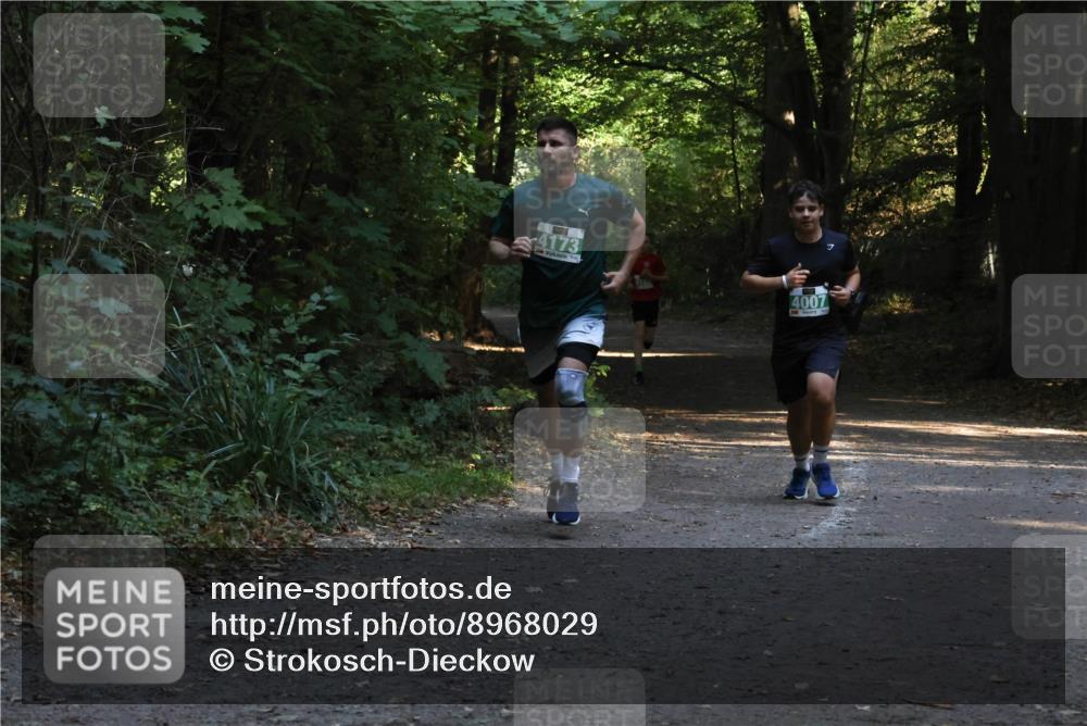 28.09.2025 - 33. Volkslauf durch das schöne Alstertal Strokosch-Dieckow http://msf.ph/oto/8968029 28.09.2025 10:51:35 Laufen 4173, 4007 meine-sportfotos.de