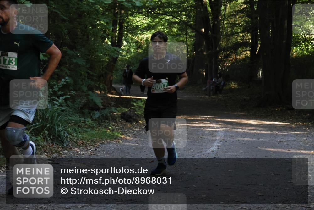 28.09.2025 - 33. Volkslauf durch das schöne Alstertal Strokosch-Dieckow http://msf.ph/oto/8968031 28.09.2025 10:51:36 Laufen 173, 4007 meine-sportfotos.de