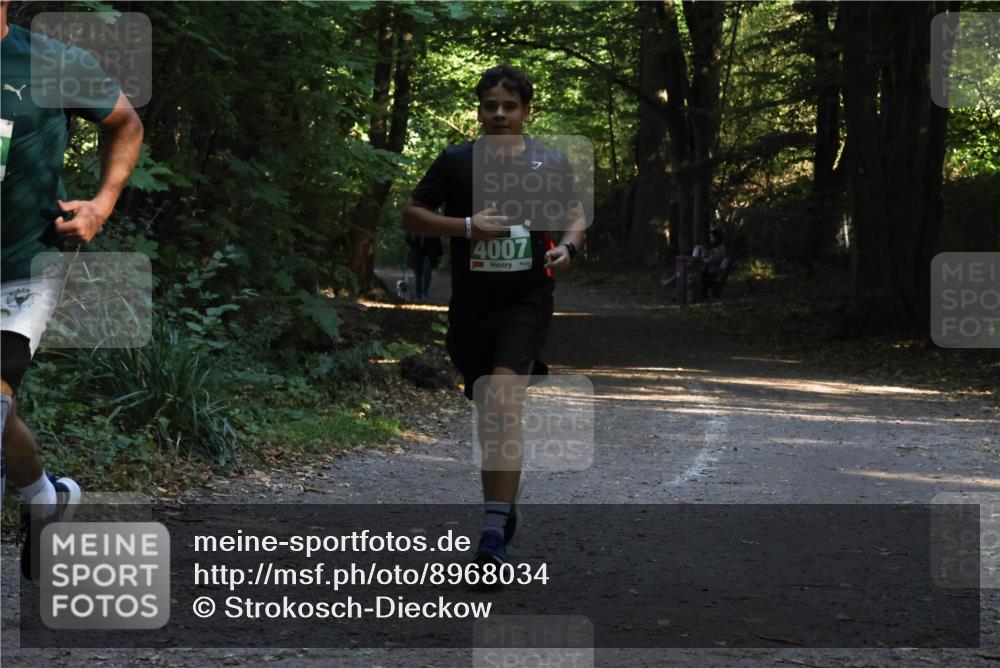 28.09.2025 - 33. Volkslauf durch das schöne Alstertal Strokosch-Dieckow http://msf.ph/oto/8968034 28.09.2025 10:51:36 Laufen 4007 meine-sportfotos.de