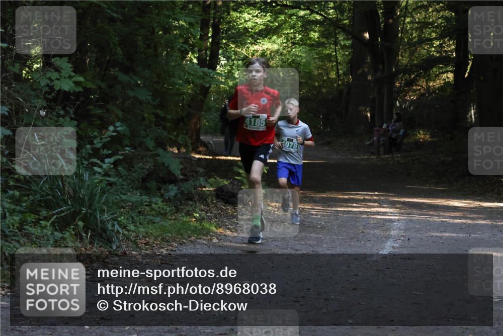 28.09.2025 - 33. Volkslauf durch das schöne Alstertal Strokosch-Dieckow http://msf.ph/oto/8968038 28.09.2025 10:51:39 Laufen 4185, 078 meine-sportfotos.de