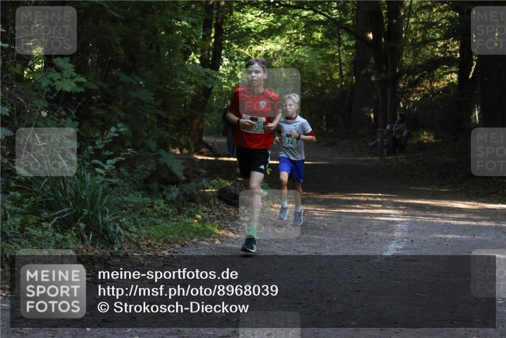 28.09.2025 - 33. Volkslauf durch das schöne Alstertal Strokosch-Dieckow http://msf.ph/oto/8968039 28.09.2025 10:51:39 Laufen 4078 meine-sportfotos.de