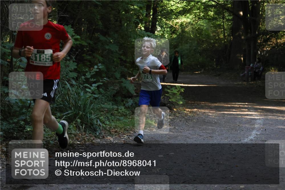 28.09.2025 - 33. Volkslauf durch das schöne Alstertal Strokosch-Dieckow http://msf.ph/oto/8968041 28.09.2025 10:51:41 Laufen 4185, 02, 078 meine-sportfotos.de