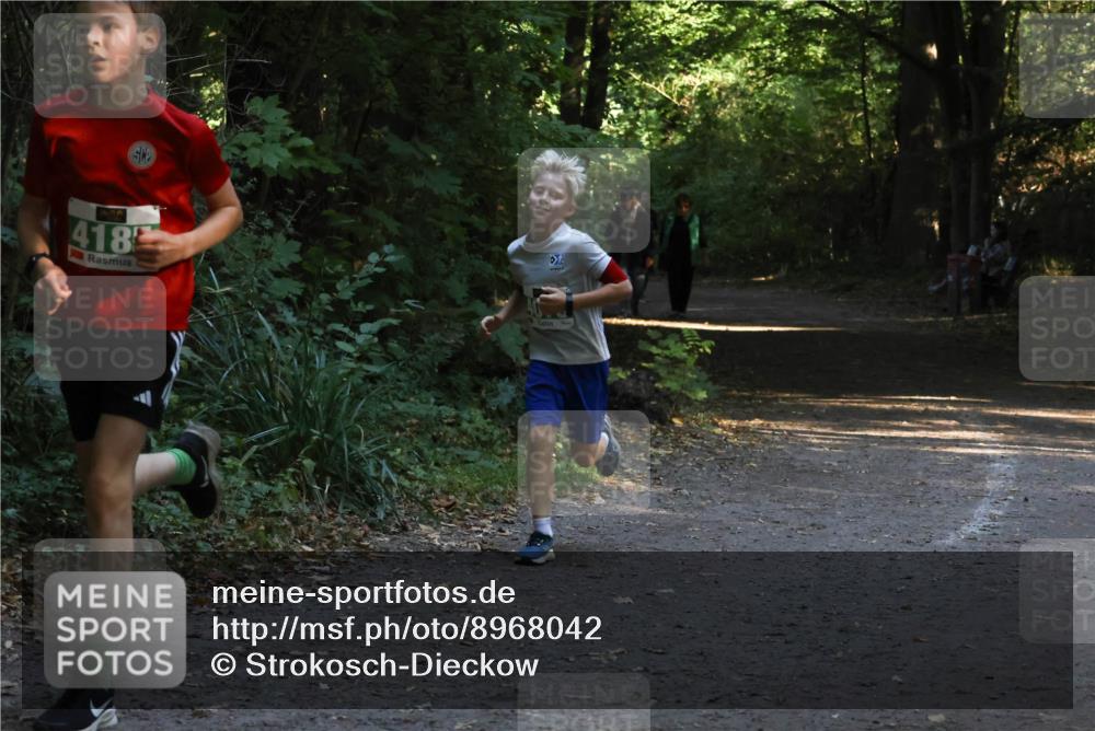 28.09.2025 - 33. Volkslauf durch das schöne Alstertal Strokosch-Dieckow http://msf.ph/oto/8968042 28.09.2025 10:51:41 Laufen 418 meine-sportfotos.de