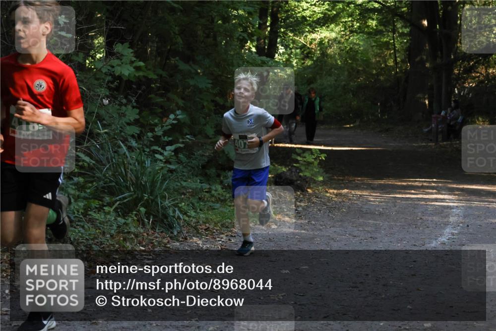 28.09.2025 - 33. Volkslauf durch das schöne Alstertal Strokosch-Dieckow http://msf.ph/oto/8968044 28.09.2025 10:51:41 Laufen 410, 407 meine-sportfotos.de