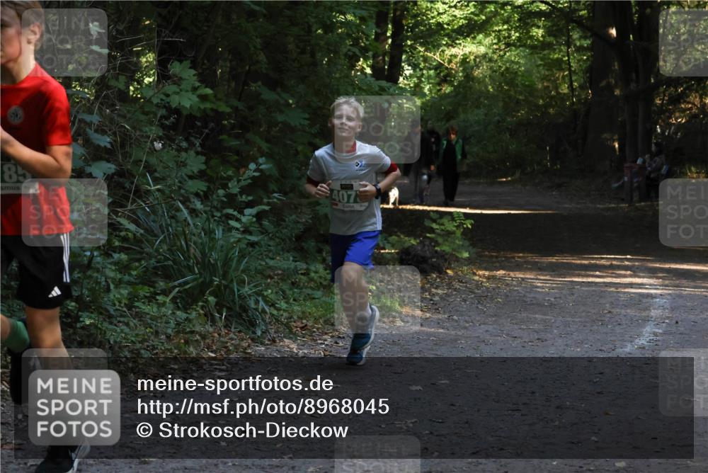 28.09.2025 - 33. Volkslauf durch das schöne Alstertal Strokosch-Dieckow http://msf.ph/oto/8968045 28.09.2025 10:51:41 Laufen 85, 407 meine-sportfotos.de