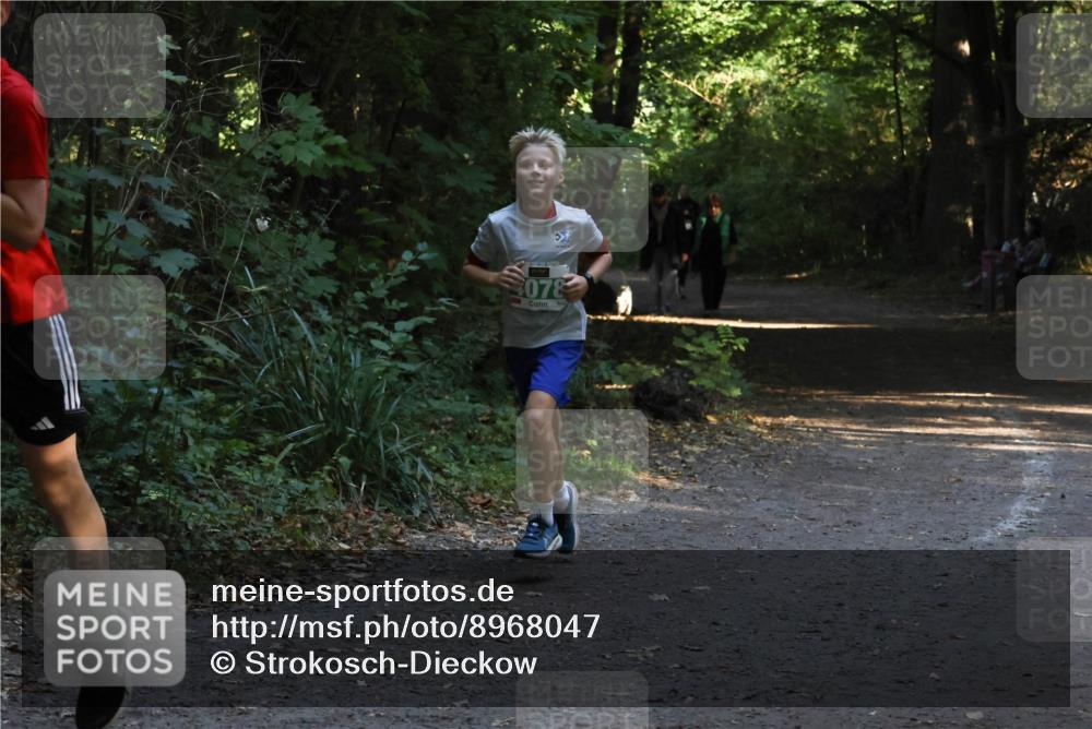 28.09.2025 - 33. Volkslauf durch das schöne Alstertal Strokosch-Dieckow http://msf.ph/oto/8968047 28.09.2025 10:51:41 Laufen 078 meine-sportfotos.de