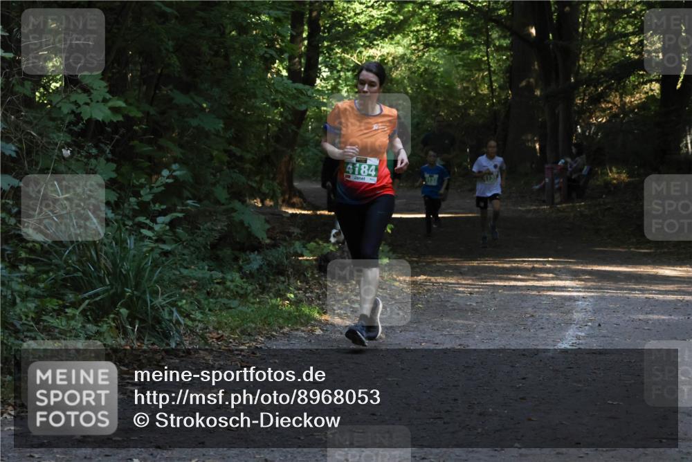28.09.2025 - 33. Volkslauf durch das schöne Alstertal Strokosch-Dieckow http://msf.ph/oto/8968053 28.09.2025 10:51:54 Laufen 4184 meine-sportfotos.de