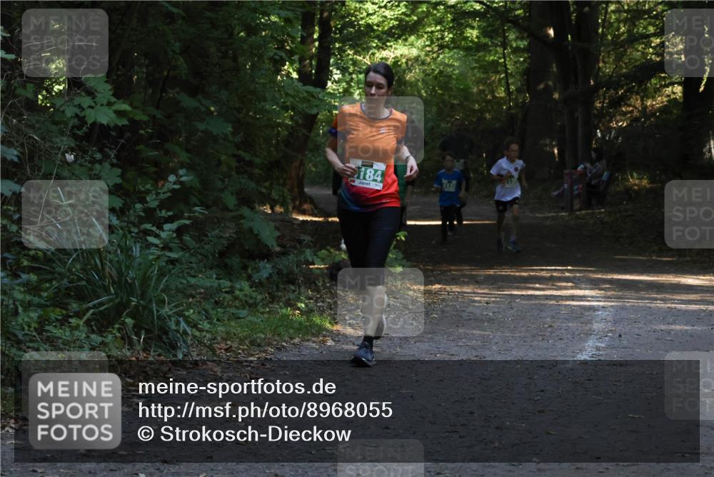 28.09.2025 - 33. Volkslauf durch das schöne Alstertal Strokosch-Dieckow http://msf.ph/oto/8968055 28.09.2025 10:51:54 Laufen 184 meine-sportfotos.de