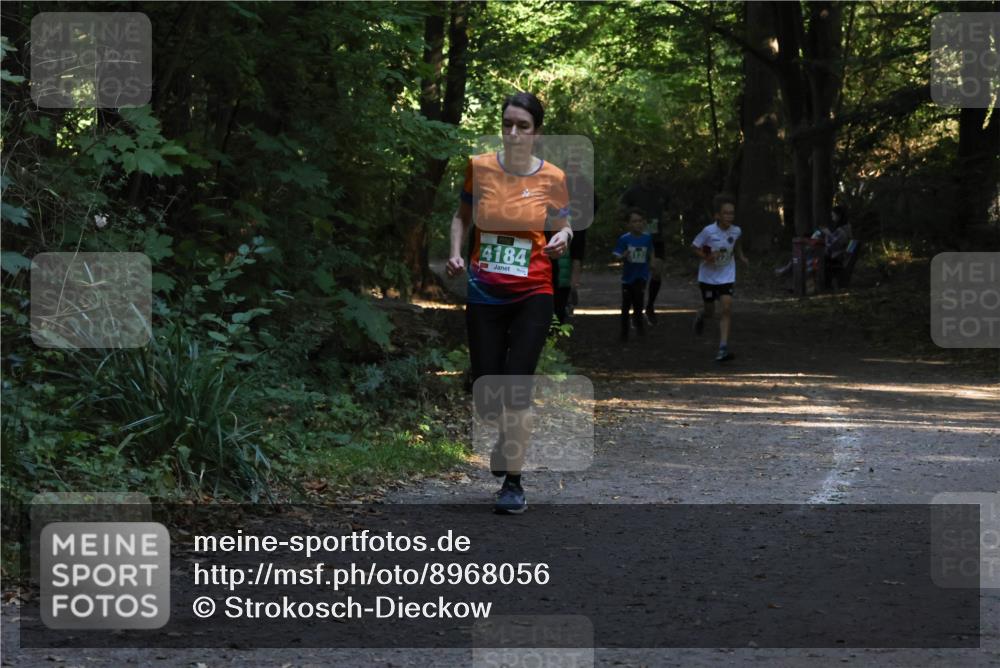 28.09.2025 - 33. Volkslauf durch das schöne Alstertal Strokosch-Dieckow http://msf.ph/oto/8968056 28.09.2025 10:51:54 Laufen 4184 meine-sportfotos.de
