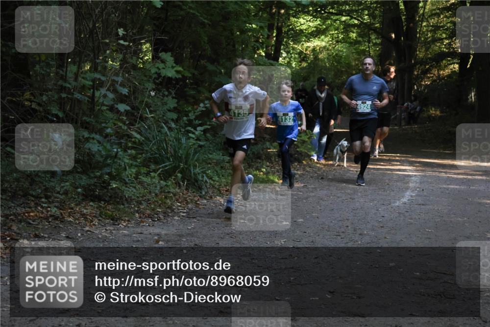 28.09.2025 - 33. Volkslauf durch das schöne Alstertal Strokosch-Dieckow http://msf.ph/oto/8968059 28.09.2025 10:51:59 Laufen 4135, 4132, 4924 meine-sportfotos.de