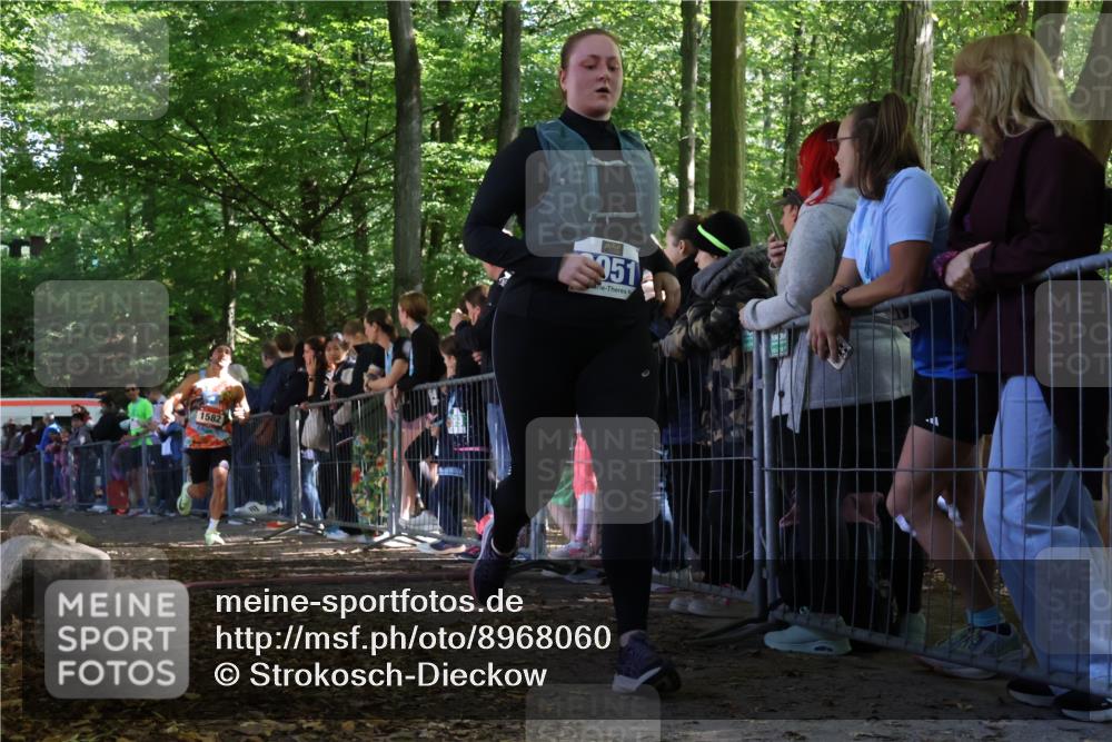 28.09.2025 - 33. Volkslauf durch das schöne Alstertal Strokosch-Dieckow http://msf.ph/oto/8968060 28.09.2025 11:47:31 Ziel 1582, 3051 meine-sportfotos.de
