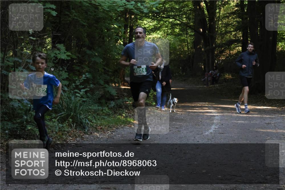 28.09.2025 - 33. Volkslauf durch das schöne Alstertal Strokosch-Dieckow http://msf.ph/oto/8968063 28.09.2025 10:52:00 Laufen 4132, 4924 meine-sportfotos.de