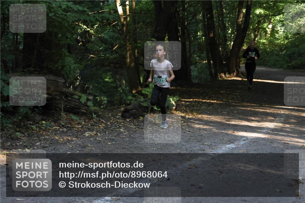 28.09.2025 - 33. Volkslauf durch das schöne Alstertal Strokosch-Dieckow http://msf.ph/oto/8968064 28.09.2025 10:52:32 Laufen 4025 meine-sportfotos.de