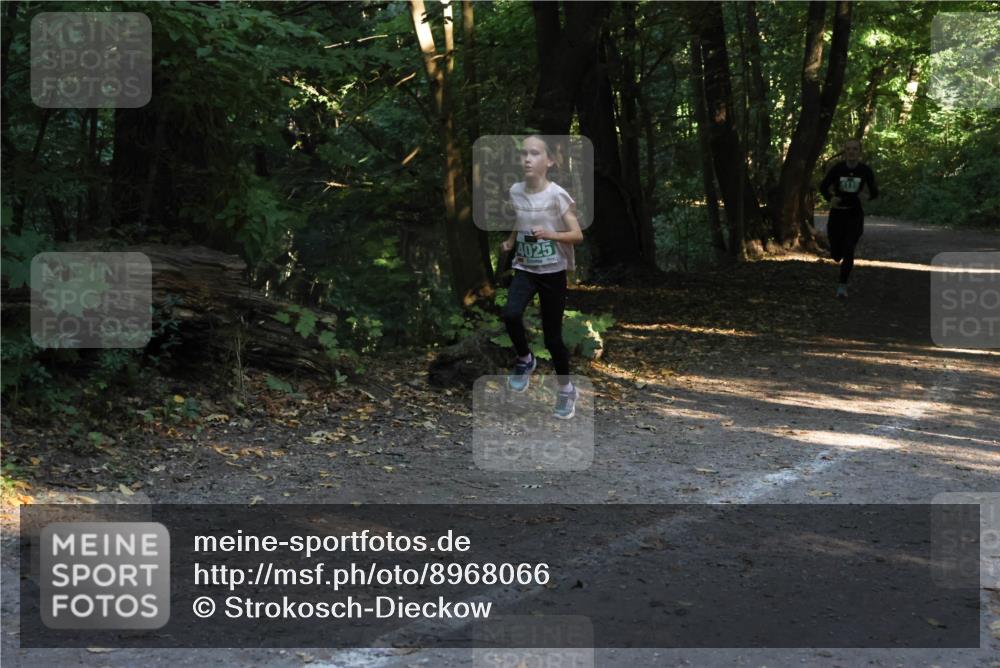 28.09.2025 - 33. Volkslauf durch das schöne Alstertal Strokosch-Dieckow http://msf.ph/oto/8968066 28.09.2025 10:52:32 Laufen 4025 meine-sportfotos.de