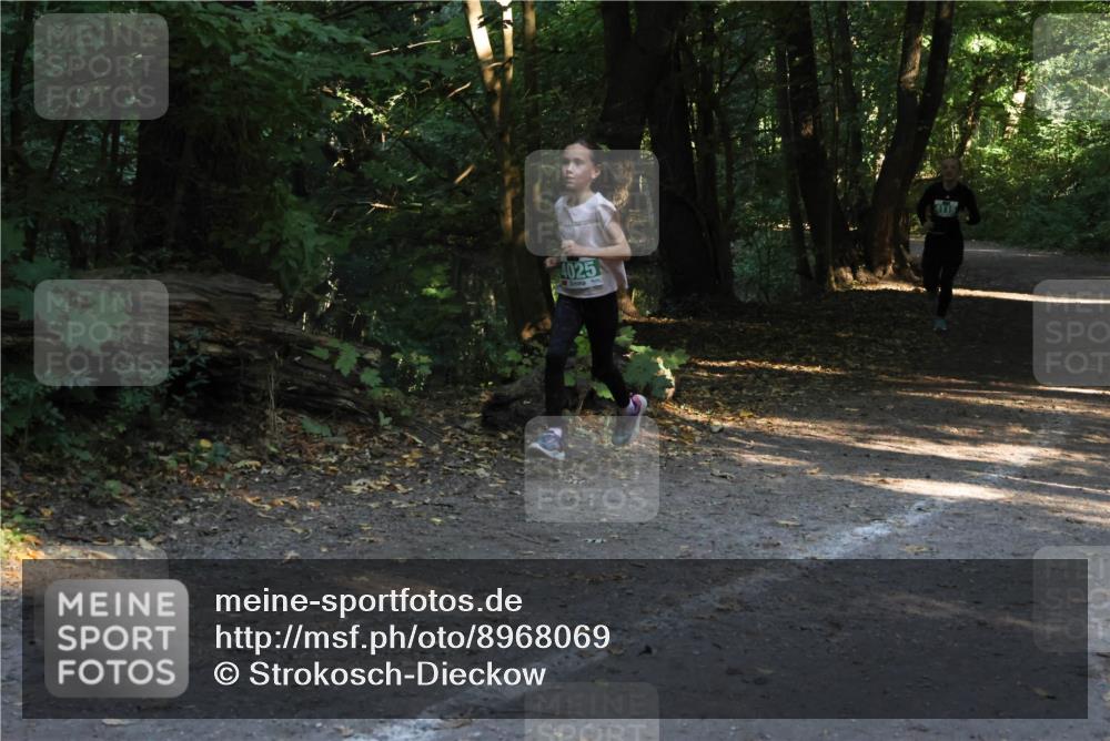 28.09.2025 - 33. Volkslauf durch das schöne Alstertal Strokosch-Dieckow http://msf.ph/oto/8968069 28.09.2025 10:52:32 Laufen 4025 meine-sportfotos.de