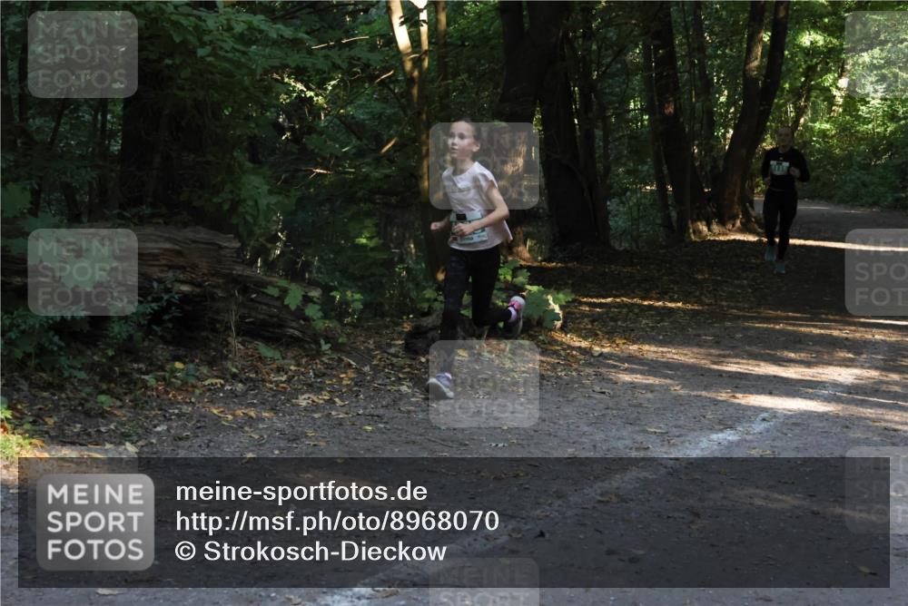 28.09.2025 - 33. Volkslauf durch das schöne Alstertal Strokosch-Dieckow http://msf.ph/oto/8968070 28.09.2025 10:52:32 Laufen  meine-sportfotos.de