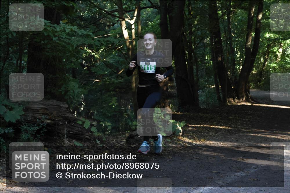 28.09.2025 - 33. Volkslauf durch das schöne Alstertal Strokosch-Dieckow http://msf.ph/oto/8968075 28.09.2025 10:52:35 Laufen 4115 meine-sportfotos.de