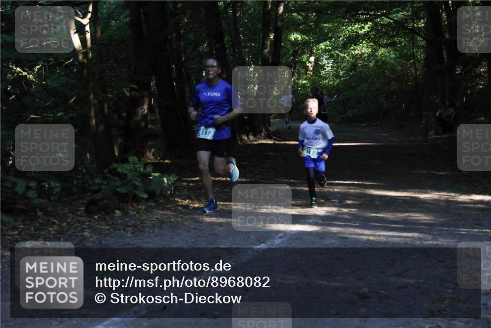 28.09.2025 - 33. Volkslauf durch das schöne Alstertal Strokosch-Dieckow http://msf.ph/oto/8968082 28.09.2025 10:52:54 Laufen 4113 meine-sportfotos.de