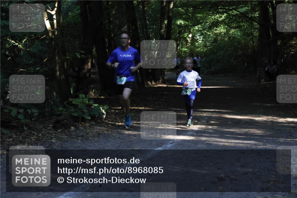 28.09.2025 - 33. Volkslauf durch das schöne Alstertal Strokosch-Dieckow http://msf.ph/oto/8968085 28.09.2025 10:52:54 Laufen 4113 meine-sportfotos.de