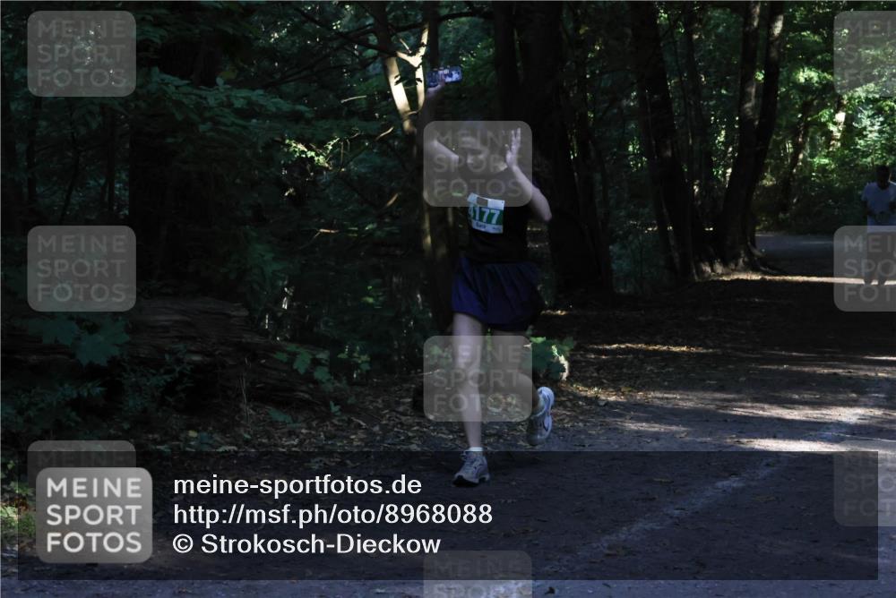 28.09.2025 - 33. Volkslauf durch das schöne Alstertal Strokosch-Dieckow http://msf.ph/oto/8968088 28.09.2025 10:52:58 Laufen 4177 meine-sportfotos.de