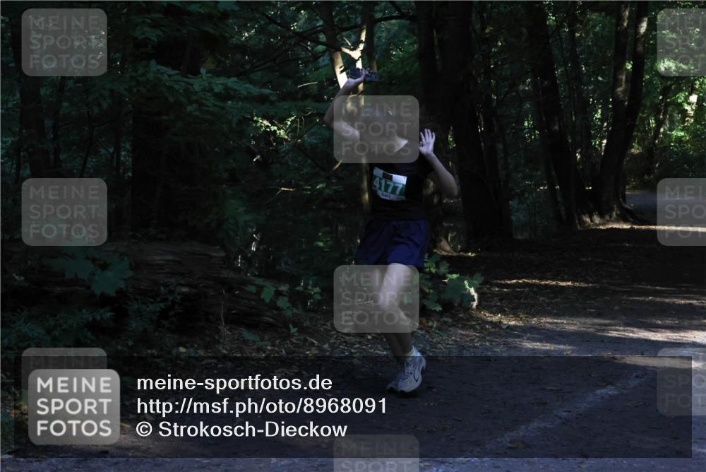 28.09.2025 - 33. Volkslauf durch das schöne Alstertal Strokosch-Dieckow http://msf.ph/oto/8968091 28.09.2025 10:52:58 Laufen 4177 meine-sportfotos.de