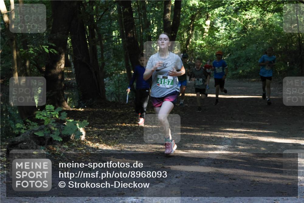 28.09.2025 - 33. Volkslauf durch das schöne Alstertal Strokosch-Dieckow http://msf.ph/oto/8968093 28.09.2025 10:53:30 Laufen 4157, 4047, 4035 meine-sportfotos.de