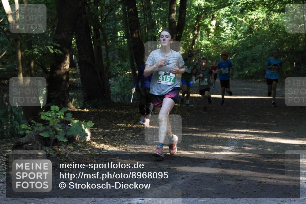28.09.2025 - 33. Volkslauf durch das schöne Alstertal Strokosch-Dieckow http://msf.ph/oto/8968095 28.09.2025 10:53:30 Laufen 4157, 4047, 4035 meine-sportfotos.de