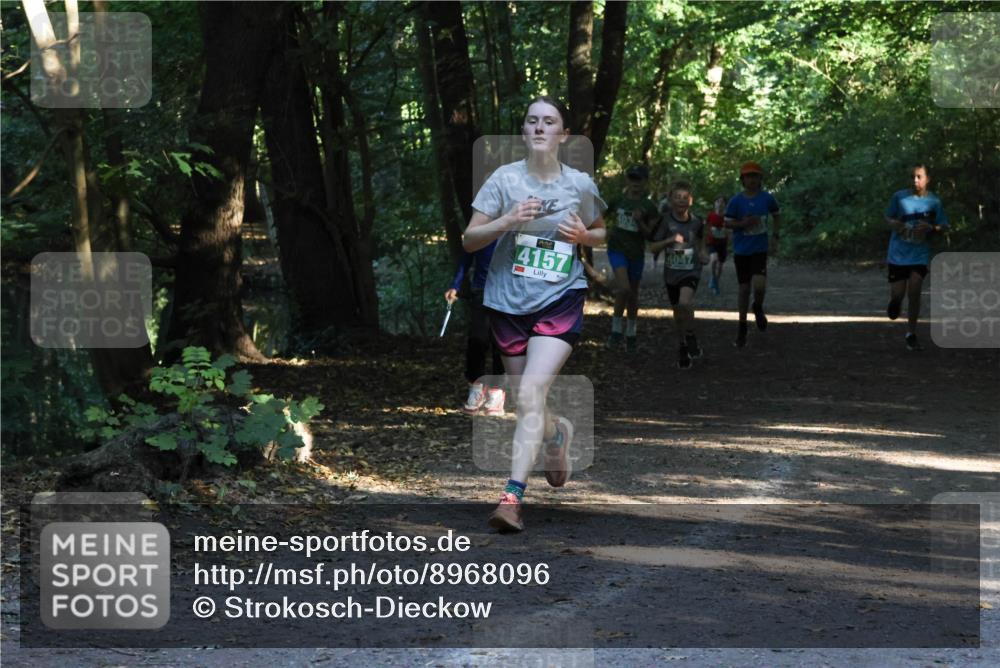 28.09.2025 - 33. Volkslauf durch das schöne Alstertal Strokosch-Dieckow http://msf.ph/oto/8968096 28.09.2025 10:53:30 Laufen 4157, 403, 4047 meine-sportfotos.de
