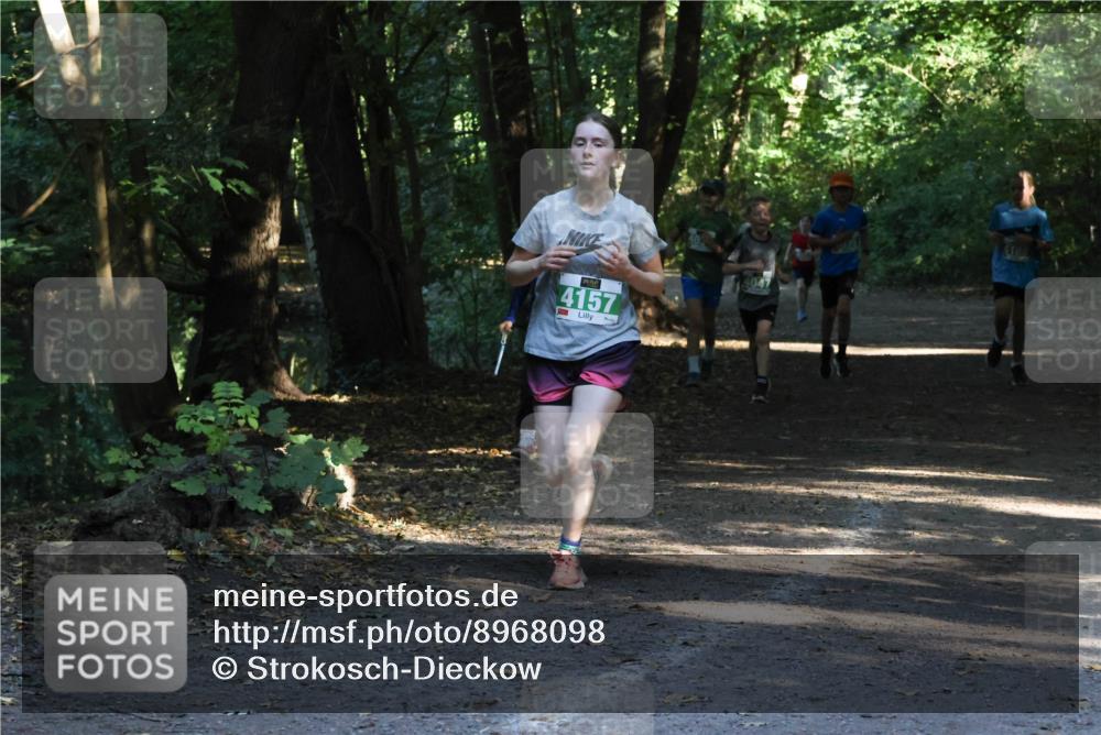 28.09.2025 - 33. Volkslauf durch das schöne Alstertal Strokosch-Dieckow http://msf.ph/oto/8968098 28.09.2025 10:53:30 Laufen 4157, 4047 meine-sportfotos.de
