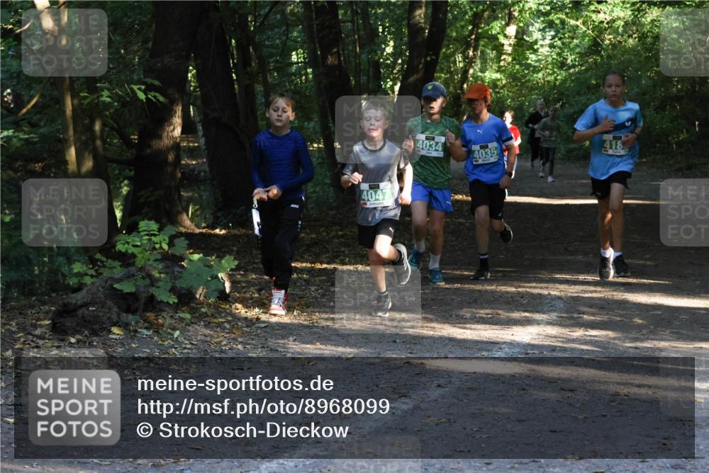 28.09.2025 - 33. Volkslauf durch das schöne Alstertal Strokosch-Dieckow http://msf.ph/oto/8968099 28.09.2025 10:53:33 Laufen 4047, 4034, 4035, 418 meine-sportfotos.de