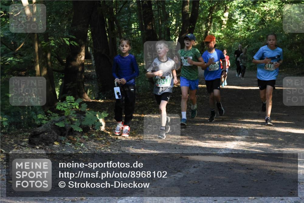 28.09.2025 - 33. Volkslauf durch das schöne Alstertal Strokosch-Dieckow http://msf.ph/oto/8968102 28.09.2025 10:53:33 Laufen 4047, 40, 4035, 418 meine-sportfotos.de