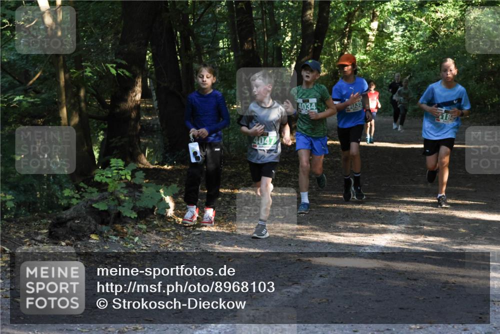28.09.2025 - 33. Volkslauf durch das schöne Alstertal Strokosch-Dieckow http://msf.ph/oto/8968103 28.09.2025 10:53:33 Laufen 4047, 4034, 035, 18 meine-sportfotos.de
