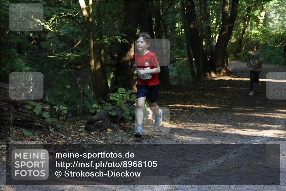 28.09.2025 - 33. Volkslauf durch das schöne Alstertal Strokosch-Dieckow http://msf.ph/oto/8968105 28.09.2025 10:53:39 Laufen 44 meine-sportfotos.de