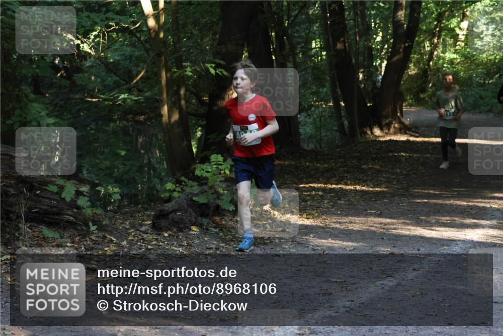 28.09.2025 - 33. Volkslauf durch das schöne Alstertal Strokosch-Dieckow http://msf.ph/oto/8968106 28.09.2025 10:53:39 Laufen  meine-sportfotos.de