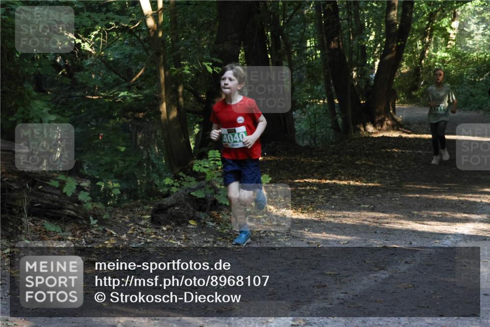 28.09.2025 - 33. Volkslauf durch das schöne Alstertal Strokosch-Dieckow http://msf.ph/oto/8968107 28.09.2025 10:53:39 Laufen 4040 meine-sportfotos.de