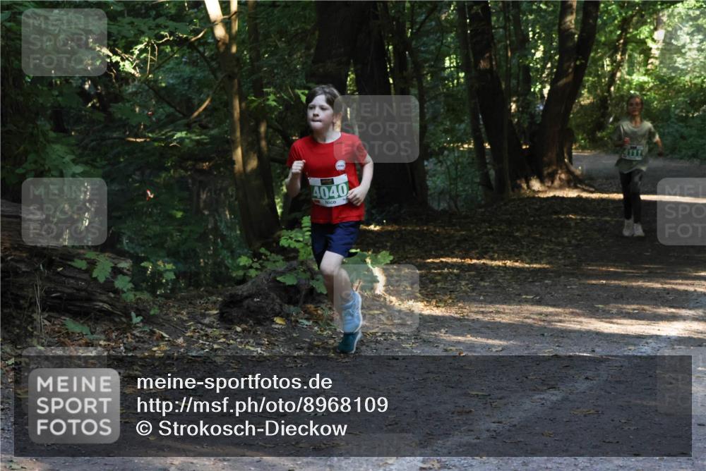 28.09.2025 - 33. Volkslauf durch das schöne Alstertal Strokosch-Dieckow http://msf.ph/oto/8968109 28.09.2025 10:53:39 Laufen 4040 meine-sportfotos.de