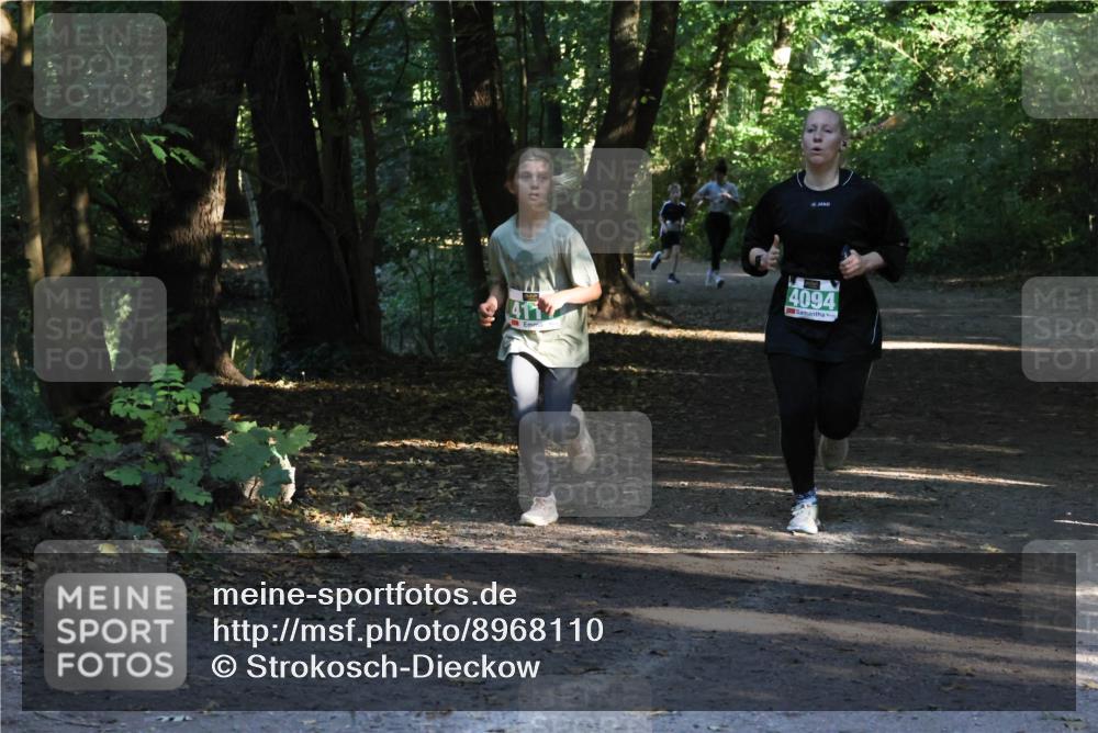 28.09.2025 - 33. Volkslauf durch das schöne Alstertal Strokosch-Dieckow http://msf.ph/oto/8968110 28.09.2025 10:53:41 Laufen 411, 4094 meine-sportfotos.de