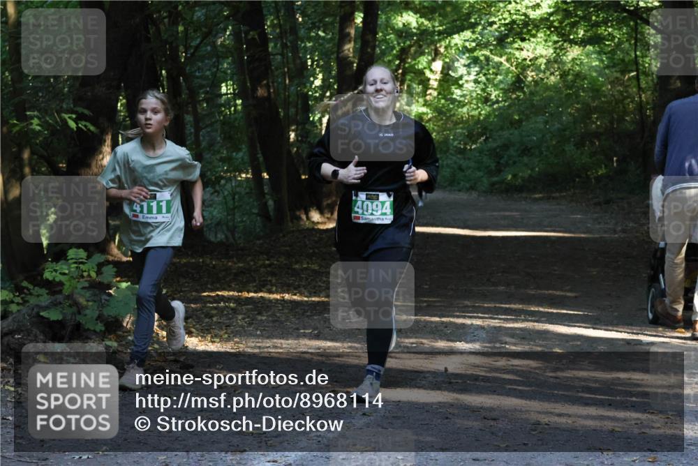 28.09.2025 - 33. Volkslauf durch das schöne Alstertal Strokosch-Dieckow http://msf.ph/oto/8968114 28.09.2025 10:53:42 Laufen 4111, 4094 meine-sportfotos.de
