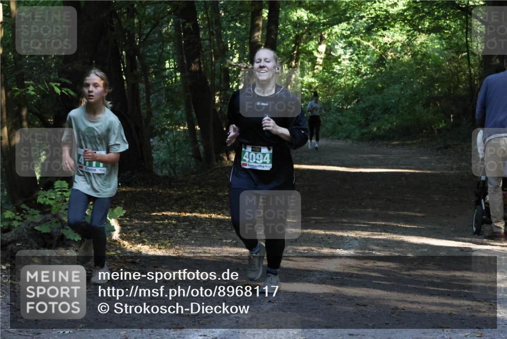 28.09.2025 - 33. Volkslauf durch das schöne Alstertal Strokosch-Dieckow http://msf.ph/oto/8968117 28.09.2025 10:53:42 Laufen 4094 meine-sportfotos.de