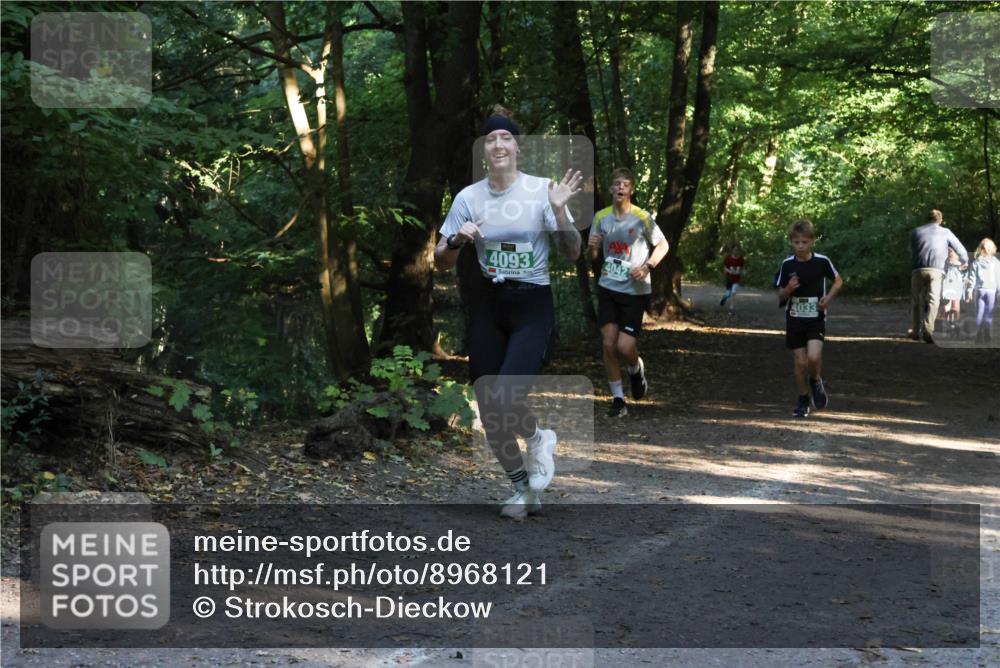 28.09.2025 - 33. Volkslauf durch das schöne Alstertal Strokosch-Dieckow http://msf.ph/oto/8968121 28.09.2025 10:53:53 Laufen 4093, 4042, 4033 meine-sportfotos.de