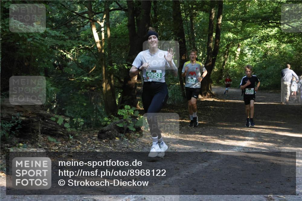 28.09.2025 - 33. Volkslauf durch das schöne Alstertal Strokosch-Dieckow http://msf.ph/oto/8968122 28.09.2025 10:53:53 Laufen 4093, 4042, 4033 meine-sportfotos.de