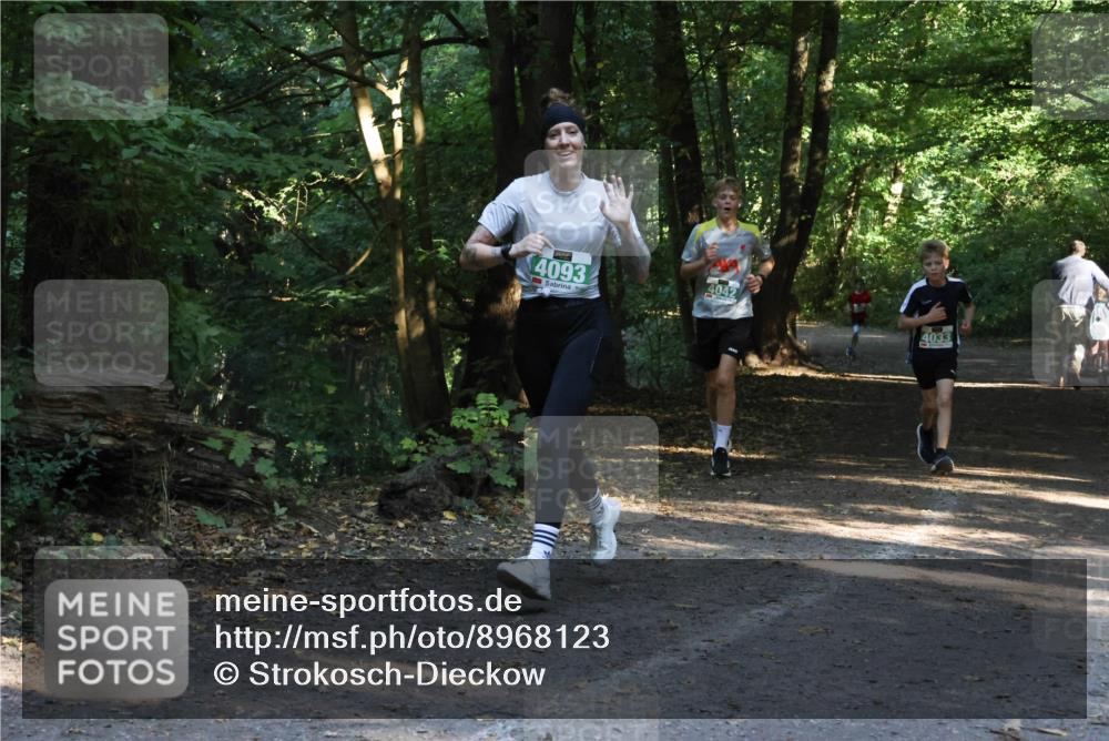 28.09.2025 - 33. Volkslauf durch das schöne Alstertal Strokosch-Dieckow http://msf.ph/oto/8968123 28.09.2025 10:53:53 Laufen 4093, 4042, 4033 meine-sportfotos.de