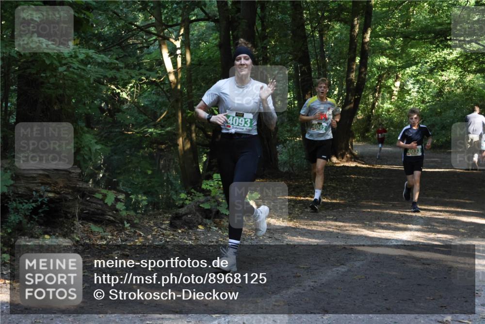28.09.2025 - 33. Volkslauf durch das schöne Alstertal Strokosch-Dieckow http://msf.ph/oto/8968125 28.09.2025 10:53:53 Laufen 4093, 4042, 4033 meine-sportfotos.de